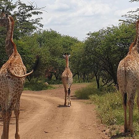 Monateng Safari Lodge Wallmannstal 外观 照片